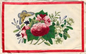 Maleri ni fra illustrert bok om blomster og sommerfugler av Unknown artist