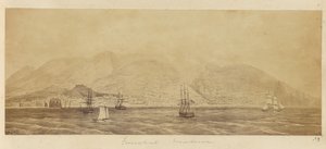 [Panorama av havnen, Funchal, Madeira] av Unknown artist