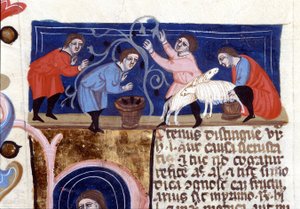 Plukke frukt og melke sauemelk. Manuskript fra 1300-tallet. biblioteca Nazionale Braidense. Milan av Unknown artist