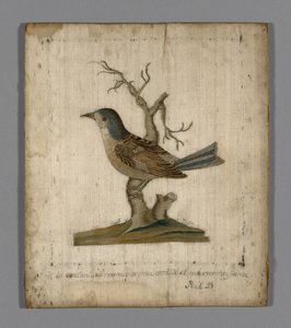 Bilde av en fugl av Unknown artist