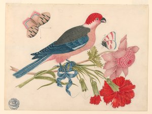 Pink, Red, Blue, and Black Bird on Branch with Blossoms and Butterflies   1233138   no       norwegian Successfully Translated  Original: Plymouth: Swiss Lodge and Gardens, Devonport Park (colour litho) Translat: Plymouth: Swiss Lodge and Gardens, Devonpor av Unknown artist