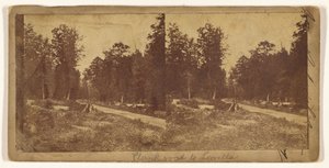[Plankvei til Lowella] (rekto); [Uidentifisert by] (verso) av Unknown artist