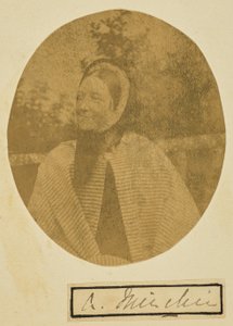[Portrett av Amelia Minchin] av Unknown artist