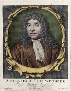 Portrett av Antonie Van Leeuwenhoek eller Anton van Leeuwenhoek, eller Leeuwenhoek, eller Leeuwenhoeck. nederlandsk naturforsker (1632-1723). gravering av 1722. av Unknown artist