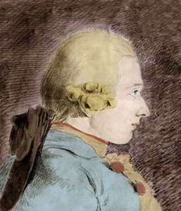 Portrett av Donatian Alphonse Francois de Sade (1740-1814) (Marquis de Sade) - etter Van Loo av Unknown artist