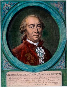 Portrett av George Louis Le Clerc, grev av Buffon (1707-1788), fransk naturforsker og forfatter. Gravering fra 1700-tallet. Privat samling. av Unknown artist