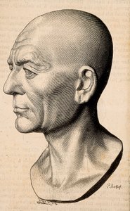 Portrett av Publius Cornelius Scipio (Scipio den afrikanske) Africanus, romersk statsmann (235-183 f.Kr.). av Unknown artist
