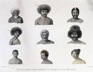 Portretter av Papua fra Rawak Island. av Unknown artist