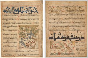 Kvaliteter til ringduer (recto); On the Benefits of Quails (verso), fra en persisk Manafi' al-Hayawan (The Benefits of Animals) fra Abu Said Ubaid-Allah ibn Jibrail ibn Bakhtishu (død 1058–68) av Unknown artist