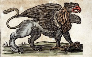 Representasjon av en griffon, fantastisk skapning halv ørn halv løve. Gravering fra et verk av Athanasius Kircher (1601 - 1680), jesuite, orientalist og lærd. av Unknown artist