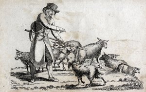 Shepherd with his herd of sheep. Engraving late 18th century. Private collection. av Unknown artist