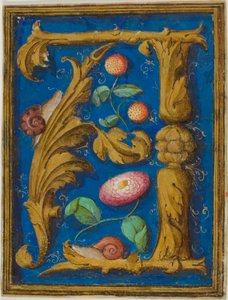 Snegler, jordbær og en blomst i en dekorert initial «A» fra et manuskript av Unknown artist