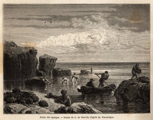 Svampfiske av øyboerne på Anastasia Island, en lav hoppe, samler kvinner og barn seg blant steinene og menn legger ut på kanoer for å dykke og hente dem i bunnen av havet. Gravering for å illustrere historien fire måneder i Florida, av Achille Po av Unknown artist