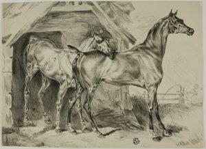 Stående hoppe og føll av Unknown artist