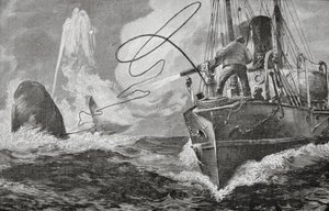 Dampskip som hvalfangere av Unknown artist
