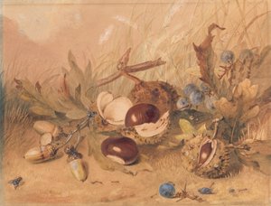 Stilleben med eikenøtter og hestekastanjer av Unknown artist