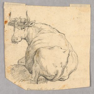 Studiul unui Cownorwegian av Unknown artist