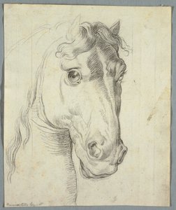 Studie av en hest av Unknown artist