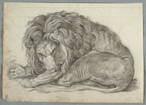 Studie av en løve av Unknown artist