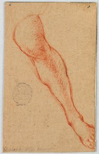 Studie av venstre ben til en sittende kvinne av Unknown artist