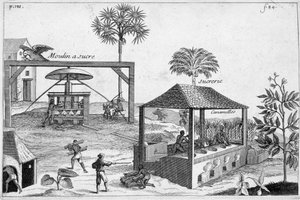 Sukkerproduksjon: Sukkermølle og sukkermølle - i "" General History of Drugs, Simple and Compounded"" av Pomet av Unknown artist