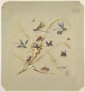 Textile or Wallpaper Design: Insects   1248022   no       norwegian Successfully Translated  Original: Les bohemiens en marche; l Translat: Les bohemiens en marche; l 1359715 no norwegian Successfully Translated Original: Canary and wisteria Translat: Cana av Unknown artist