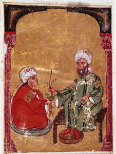 Legen og botanikeren Pedanius Dioscoride (Pedanius Dioscorides) (40-90 e.Kr.) sitter med en av studentene sine Miniatyr fra hans avhandling "De materia medica"" (ms Ahmed III, 2147, folio 217a) 1229 Topkapi Sarayi Museum Library, Istanbul av Unknown artist