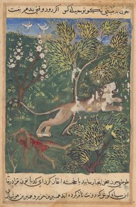Løven, som mistenker forræderi fra apen, dreper ham og flykter fra en Tuti-nama (Tales of a Parrot): Twenty-nith Night av Unknown artist