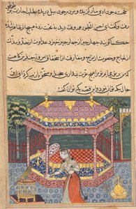 Papegøyen henvender seg til Khujasta på begynnelsen av den trettisjuende natten, fra en Tuti-nama (Tales of a Parrot) av Unknown artist