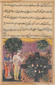 Prinsen, etter å ha fratatt slangen dens naturlige mat, en frosk, mater den med et stykke av sitt eget kjøtt, fra en Tuti-nama (Tales of a Parrot): Attende natt av Unknown artist