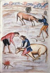 Det røde jernmerket til en hoppe, fra boken "Trujillo del Peru" eller "Codex Martinez Companion", av Baltazar Martinez Companion og Bujanda, biskop av Trujillo (1782-1785) av Unknown artist