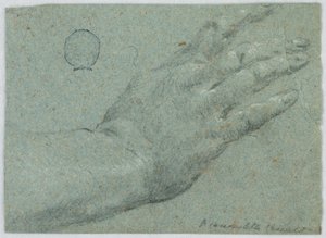 Høyre hånd til en mann av Unknown artist