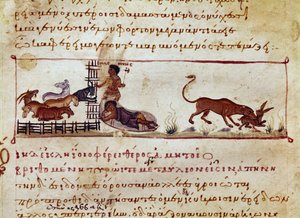Saueoppdrett, til høyre blir en hare fortært av et miniatyrdyr hentet fra jaktmelkingen "" The Cynegetics"" av Oppian (Oppian eller Oppianus) fra Syria (3. århundre e.Kr.) dedikert til Caracalla. Venezia fra 1000-tallet. Biblioteca Marc av Unknown artist
