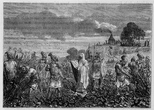 Vinrankene rykket opp i gallerne, etter ordre fra keiser Domitian - i "" Industriens underverk"" av Louis Figuier, Paris av Unknown artist