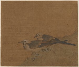 Two pied wagtails   1258445   no       norwegian Successfully Translated  Original: Tradecard, Crace and Son Translat: Tradecard, Crace and Son 1257986 no norwegian Successfully Translated Original: Siamang, from Histoire Naturelle des Mammifères (colour l av Unknown artist