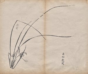 Uten navn av Unknown artist