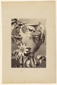 [Vase med pasjonsblomster] av Unknown artist