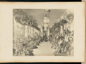 Veranda. Regjeringsbygning. Mauritius. av Unknown artist
