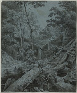 Foss og falne tømmerstokker i skogen av Unknown artist