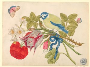 Gul-og-blå fugl på bukett med roser, tulipaner og påskeliljer, med sommerfugler av Unknown artist
