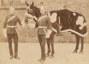 En hest av den 3 av Unknown
