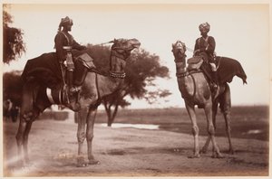 Camel Sowars på treningsleiren i Delhi av Unknown photographer