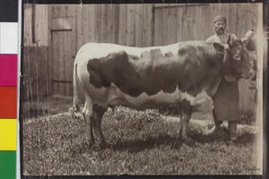  av Unknown photographer