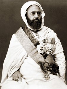 Portrett av Abd el Kader (Abd El-Kader) rundt 1875. av Unknown photographer