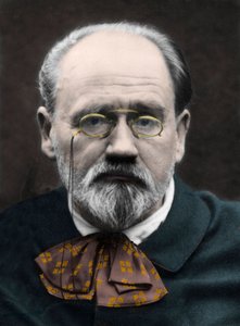 Portrett av Emile Zola 1890-tallet. av Unknown photographer