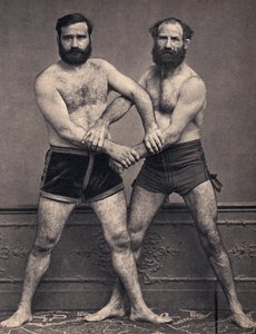 Portrett av Marseille-brødrene i wrestler. Fotografi, sent på 1800-tallet, Paris. Coll. Selva. av Unknown photographer