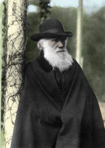 Fotografisk portrett av Charles Darwin (1809 - 1882), engelsk naturforsker i 1881. av Unknown photographer