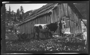  av Unknown photographer