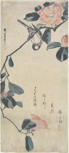 (Fugl på Camellia), tidlig på 1800-tallet