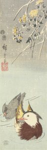 (Chrysanthemum and Mandarin Ducks), februar 1854
